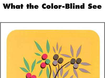 What the Color-Blind See